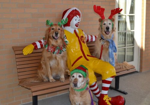 Dogs-with-Ronald-McDonald